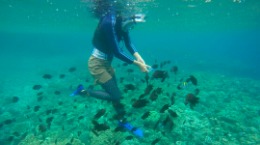Liburan ke Pantai Lubang Buaya, Ambon, Maluku - Paket liburan ke Pantai Lubang Buaya, Ambon, Maluku