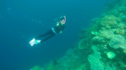 Liburan ke Pantai Lubang Buaya, Ambon, Maluku - Paket liburan ke Pantai Lubang Buaya, Ambon, Maluku