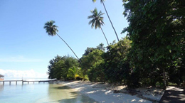 Jalan-jalan ke Maluku - Paket tur ke Maluku