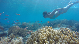 Jalan-jalan ke Maluku - Paket tur ke Maluku