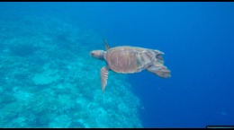 trip to Banda, Maluku - vacation package to Banda, Maluku