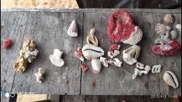 trip to Banda, Maluku - vacation package to Banda, Maluku