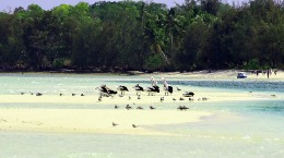 Liburan ke Ngurtavur, Kei, Maluku